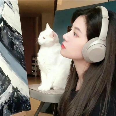 乌龙特派员