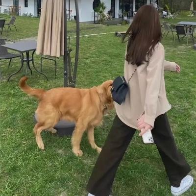 我的师兄太强了